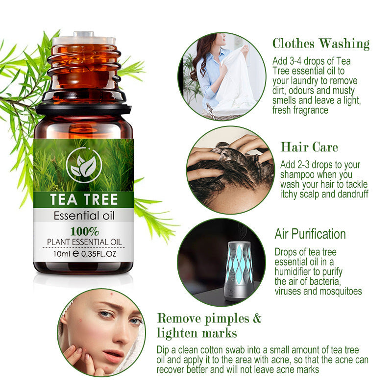 Essential Tea Tree Oil Massage Facial Body Aromatherapy Massage