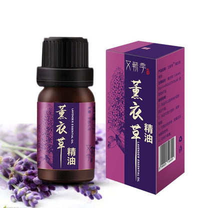 Body Oil Mugwort Essential Oil Body Moisturizing Massage