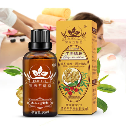 Ginger Body Back Moisturizing Massage Essential Oil